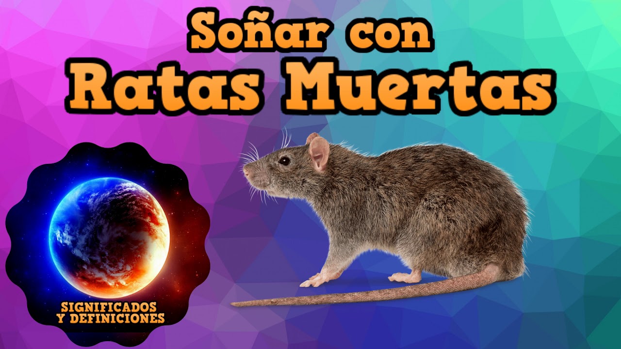 Descubre El Significado Oculto De So Ar Con Ratas Muertas Explora La