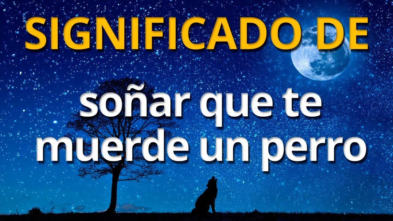 Qué Significa Soñar con Mordedura de Perro Descubre la Simbología y