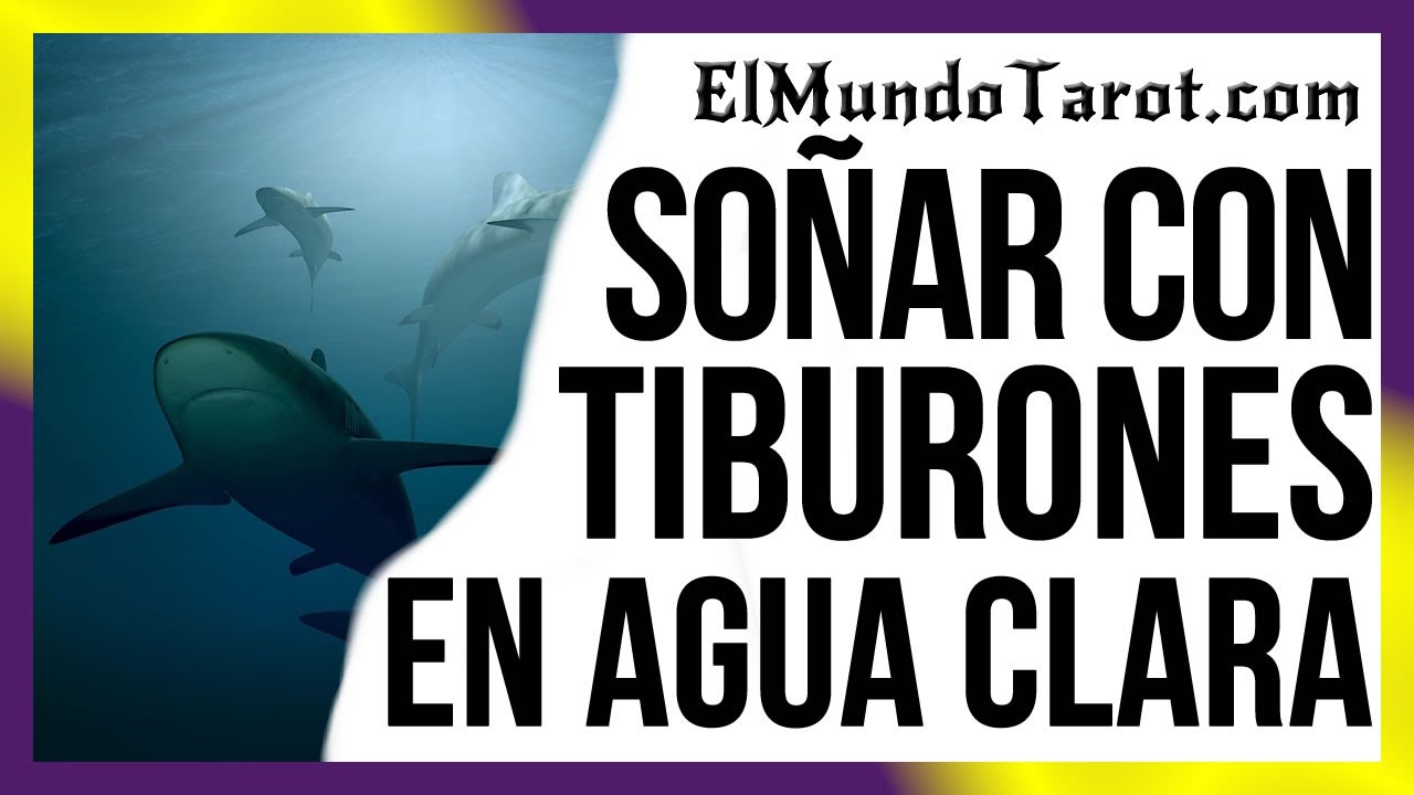 Descifrando Sueños Qué Significa Soñar con Tiburones en Agua Clara