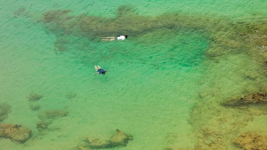 que significa sonar con agua verde