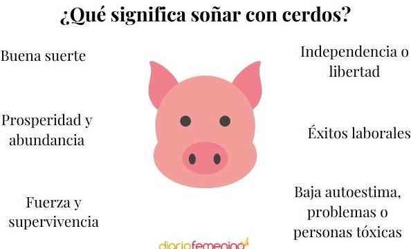 que significa sonar con cerdos