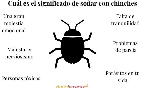 que significa sonar con chinches en la pared