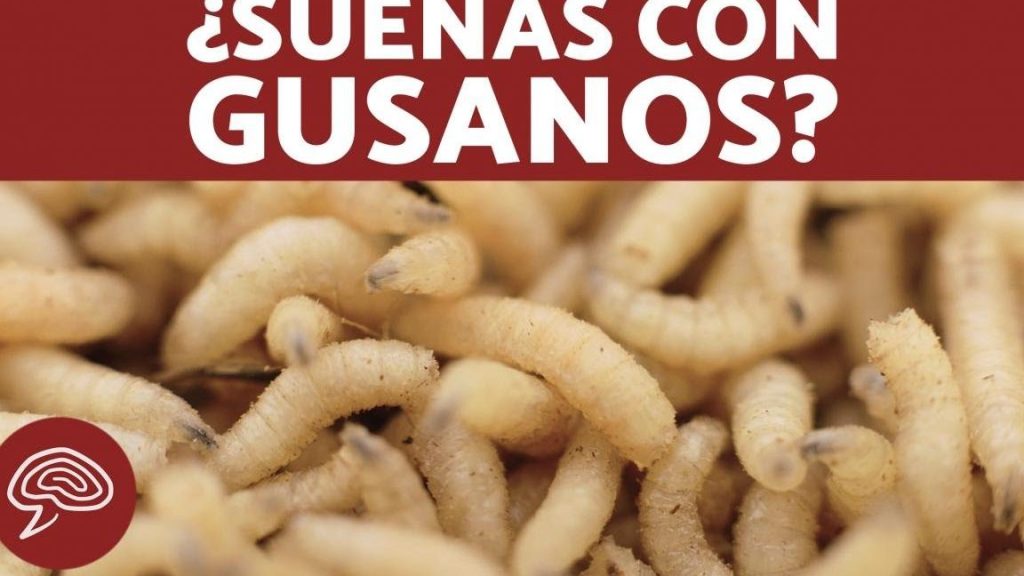 que significa sonar con gusanos en la ropa