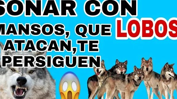 que significa sonar con lobos que te quieren atacar