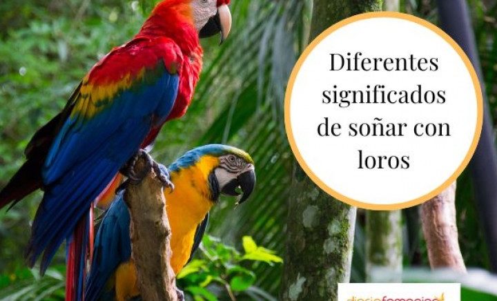 que significa sonar con loros verdes