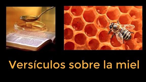 que significa sonar con miel segun la biblia