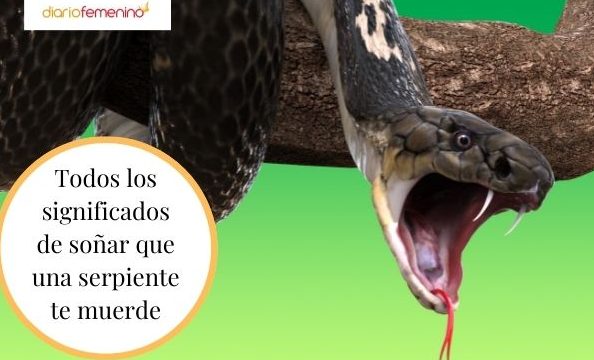 que significa sonar con mordedura de serpiente