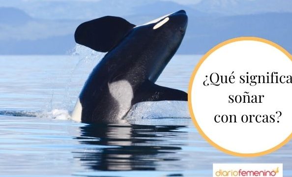 que significa sonar con orcas