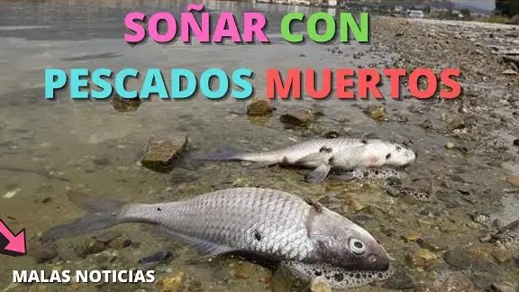 que significa sonar con pescados muertos