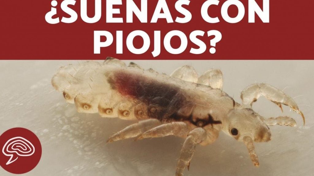 que significa sonar con piojos negros y matarlos