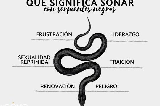 que significa sonar con serpiente negra