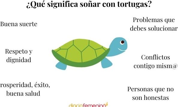 que significa sonar con tortugas pequenas