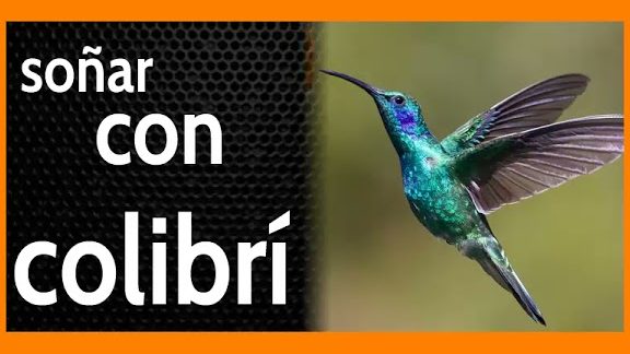 que significa sonar con un colibri