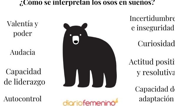 que significa sonar con un oso en mi casa