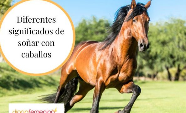 que significa sonar con caballos agresivos