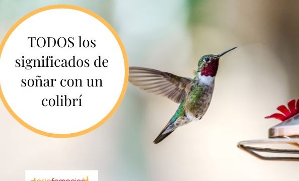 que significa sonar con colibri psicoanalisis