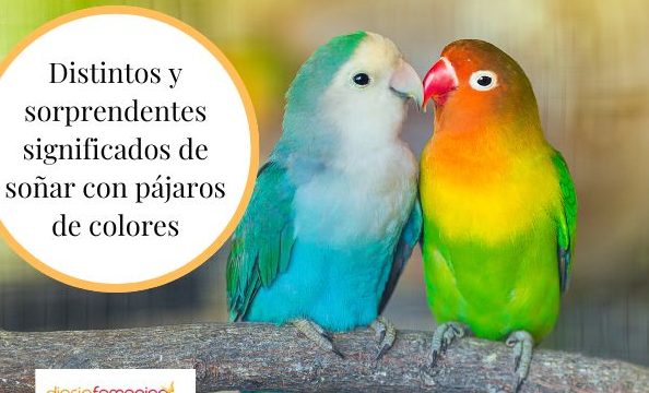 que significa sonar con pajaros en jaula