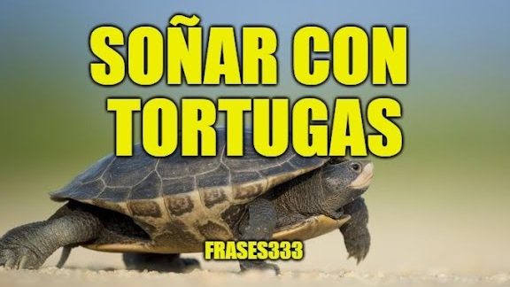 que significa sonar con tortugas grandes y pequenas