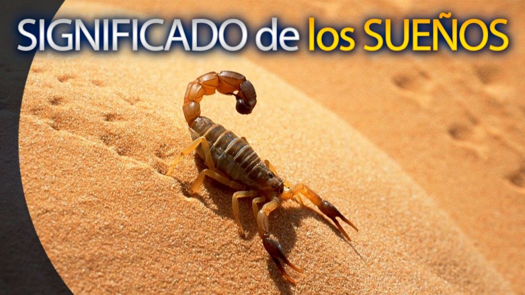 k significa sonar con alacranes