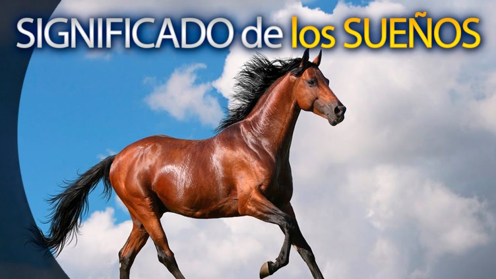 k significa sonar con caballos