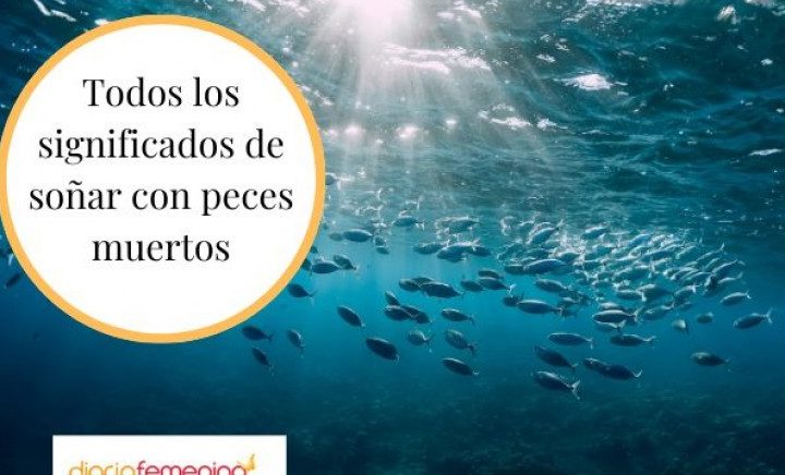 por que sonar con peces muertos fuera del agua descubre el significado de esta imagen onirica 1