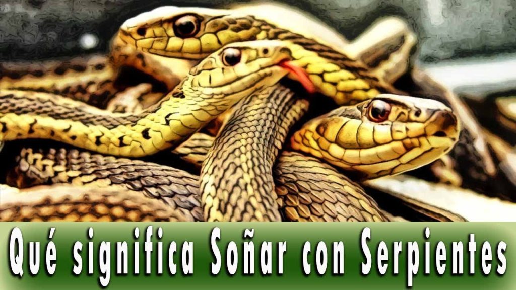 q significa sonar con serpientes