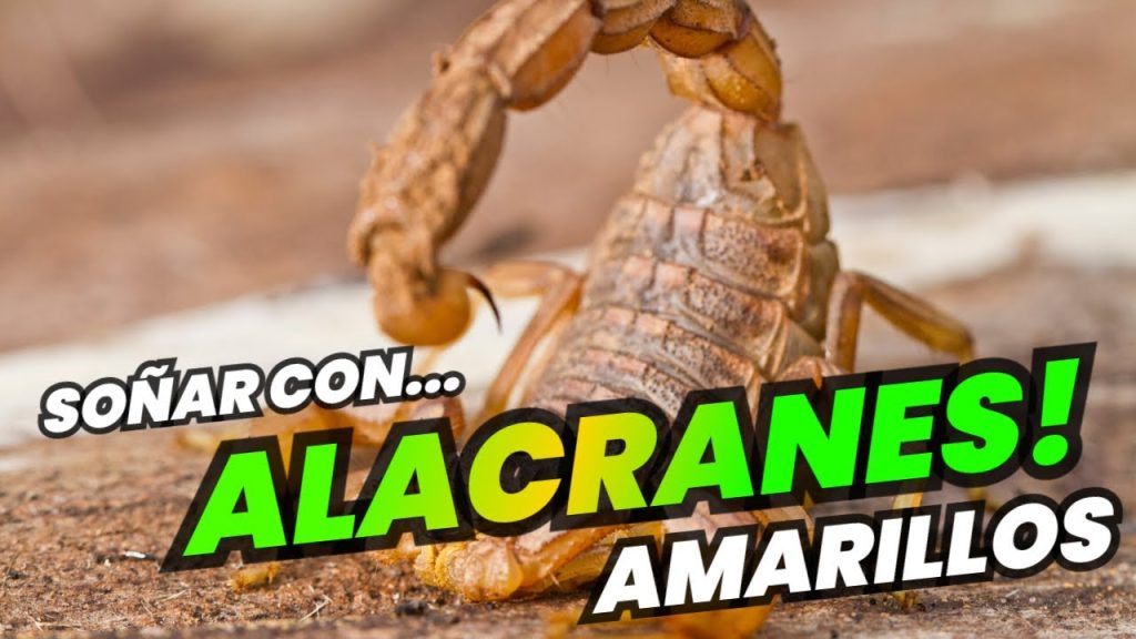 que significa sonar con alacranes amarillos y matarlos