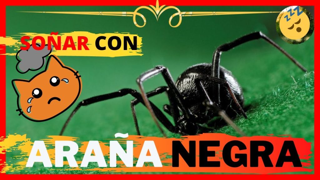 que significa sonar con aranas grandes y negras