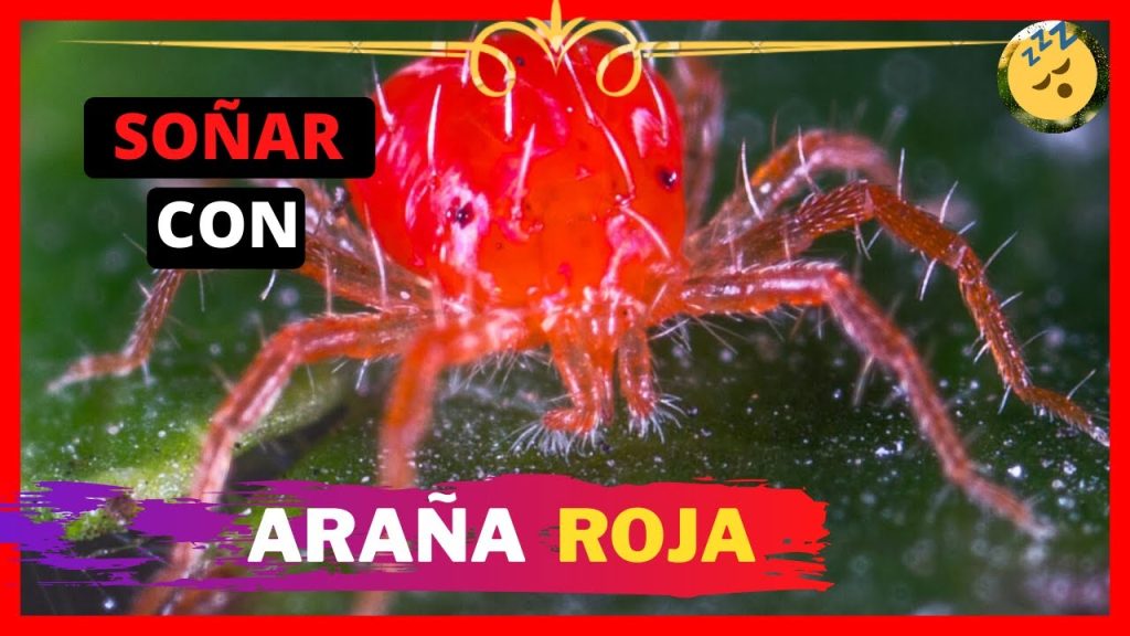 que significa sonar con aranas rojas