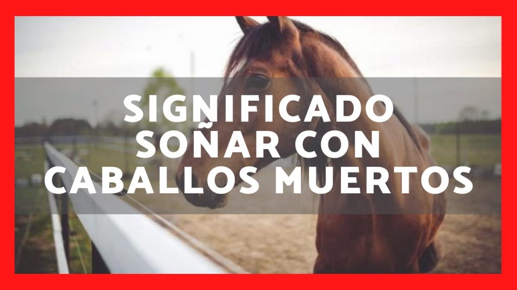 que significa sonar con caballos muertos