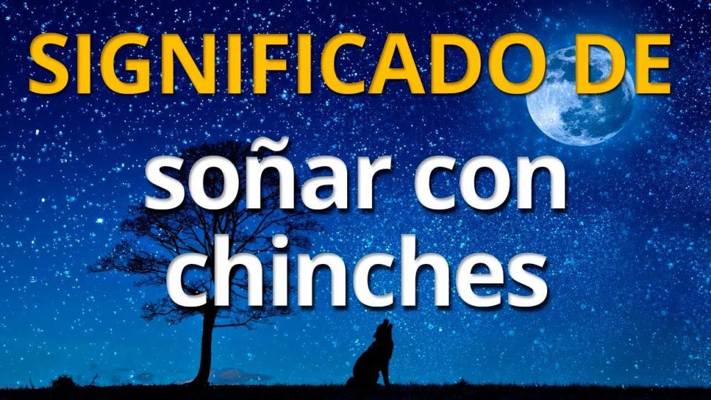 que significa sonar con chinches en la ropa