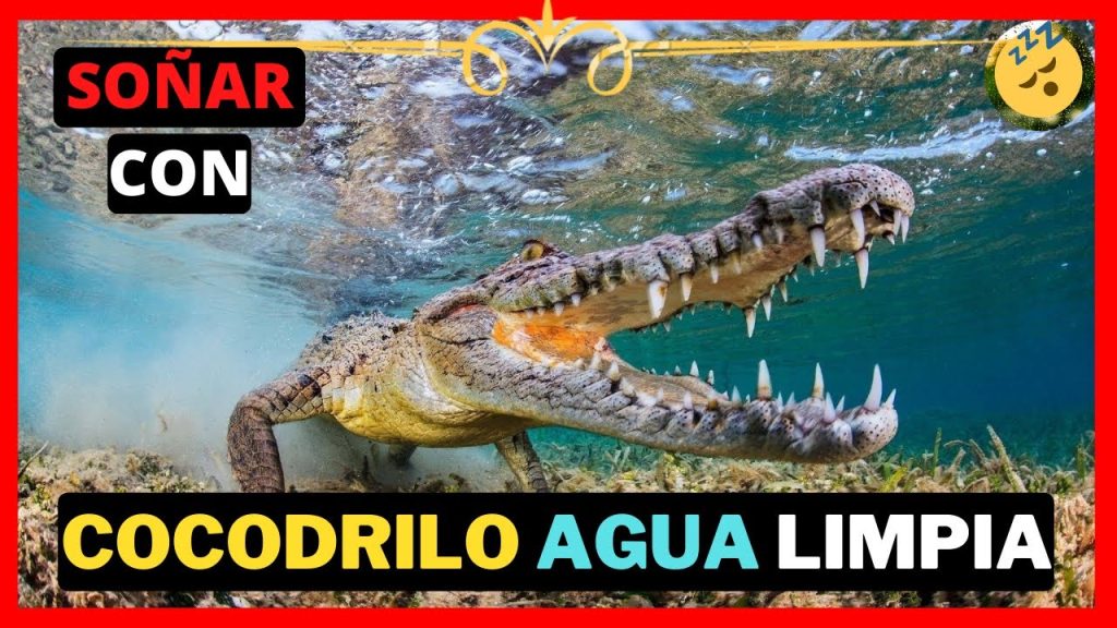 que significa sonar con cocodrilos en agua limpia