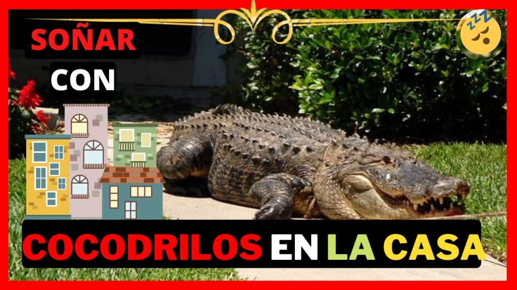 que significa sonar con cocodrilos en casa