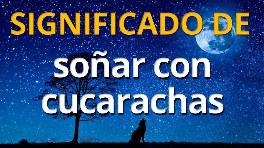 que significa sonar con cucarachas 1