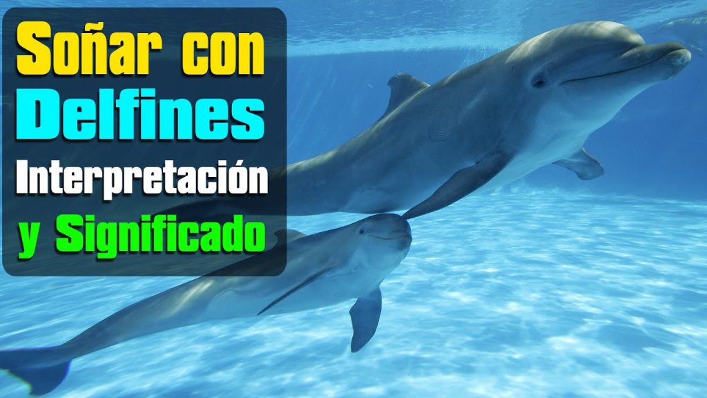 que significa sonar con delfines en mar