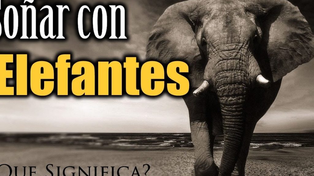 que significa sonar con elefantes que te persiguen