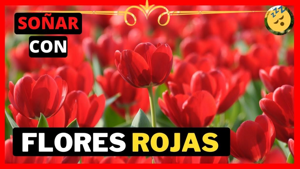 que significa sonar con flores rojas