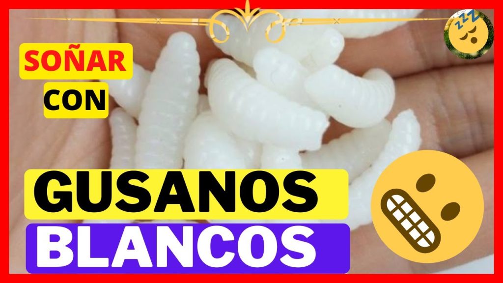 que significa sonar con gusanos blancos 2