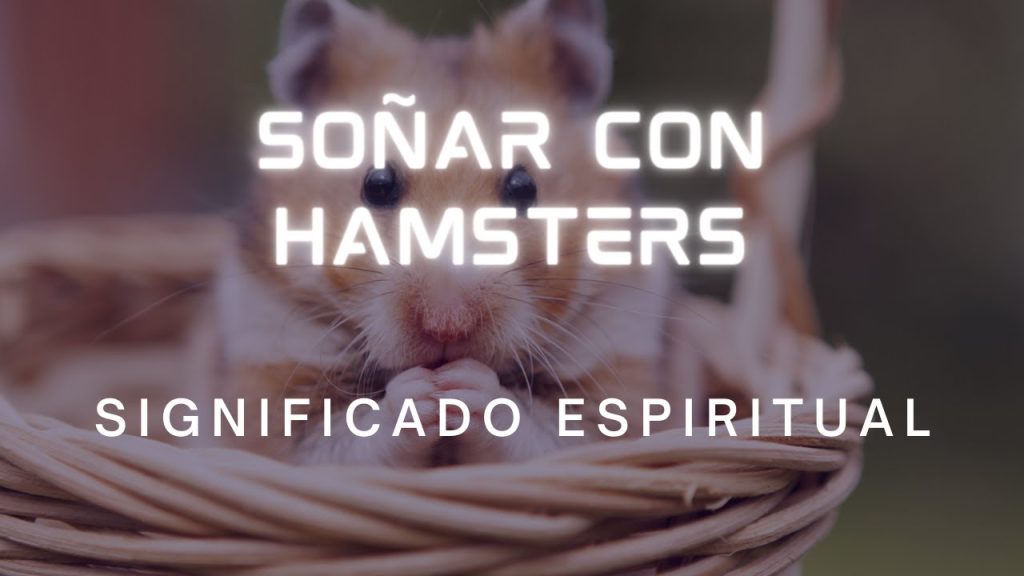 que significa sonar con hamster