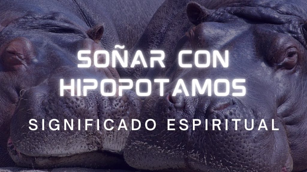 que significa sonar con hipopotamos