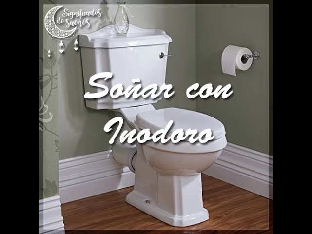 que significa sonar con inodoro