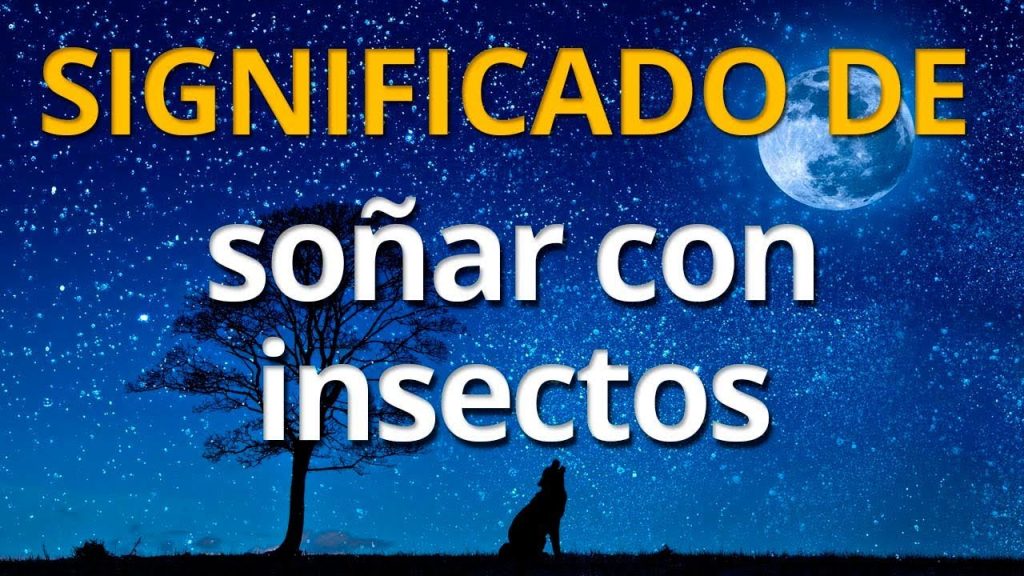 que significa sonar con insectos en el cuerpo