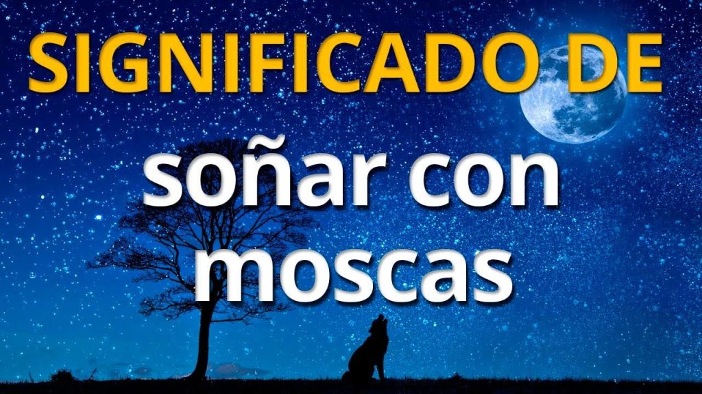 que significa sonar con moscas