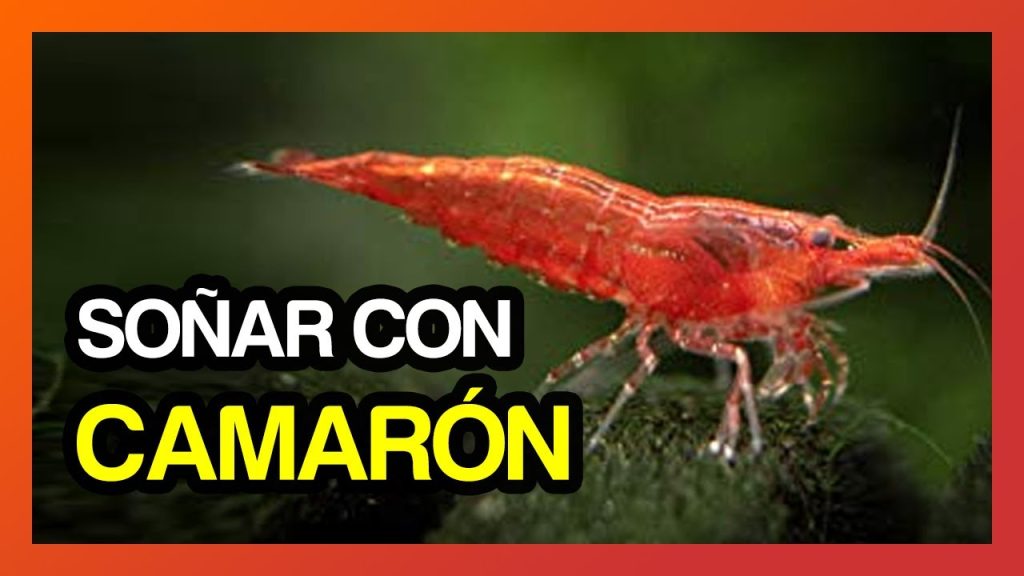 que significa sonar con muchos camarones