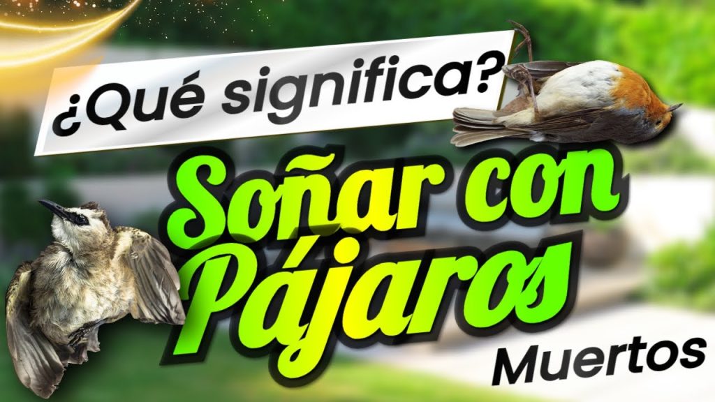 que significa sonar con pajaros muertos