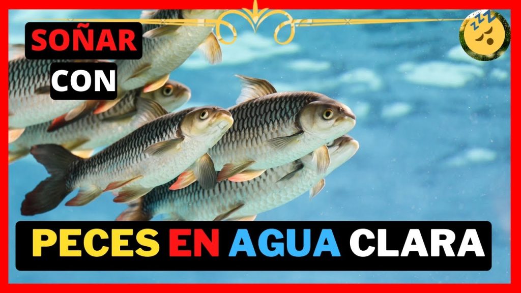 que significa sonar con peces en agua clara