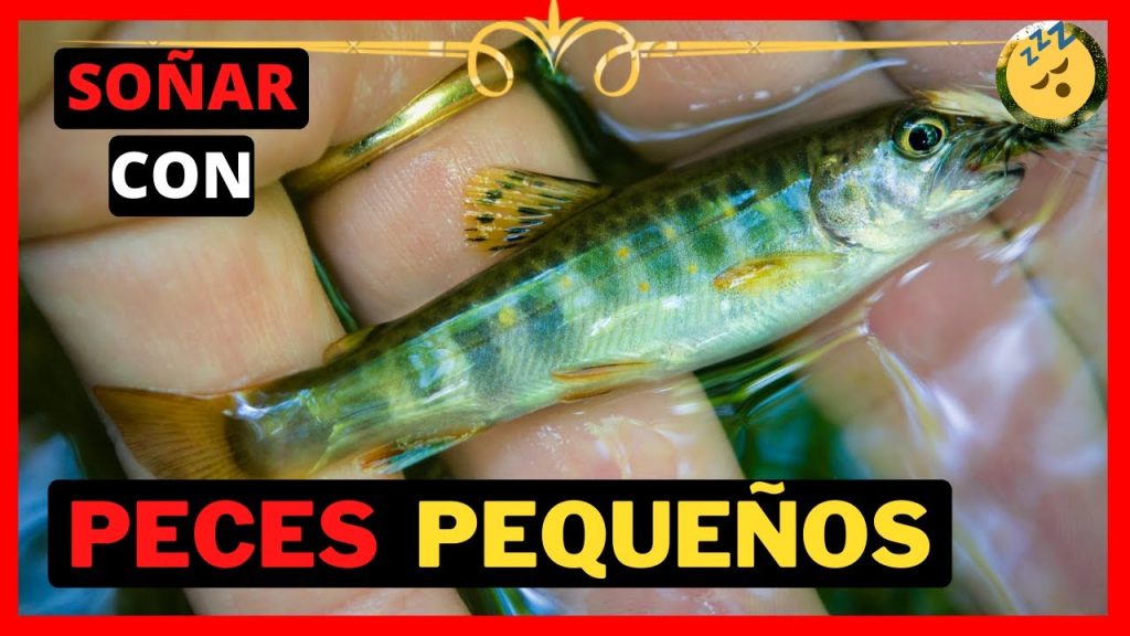 que significa sonar con peces pequenos