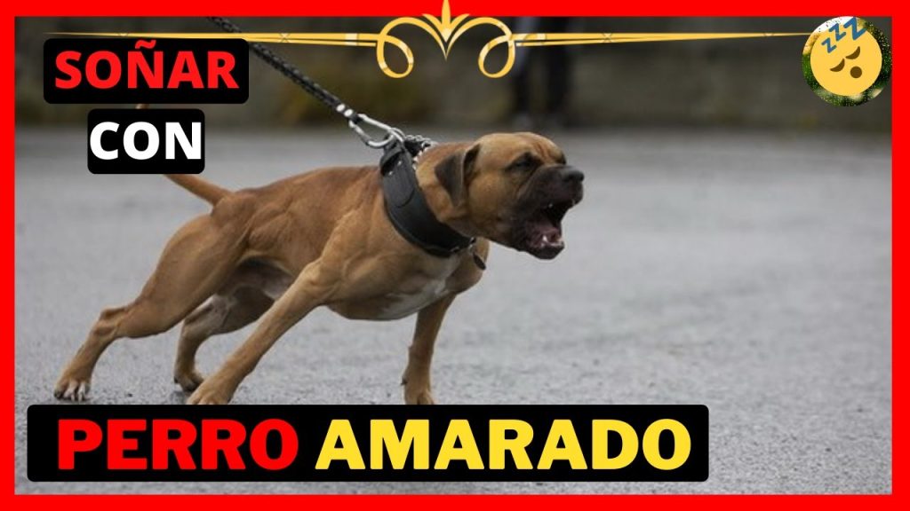 que significa sonar con perros amarrados