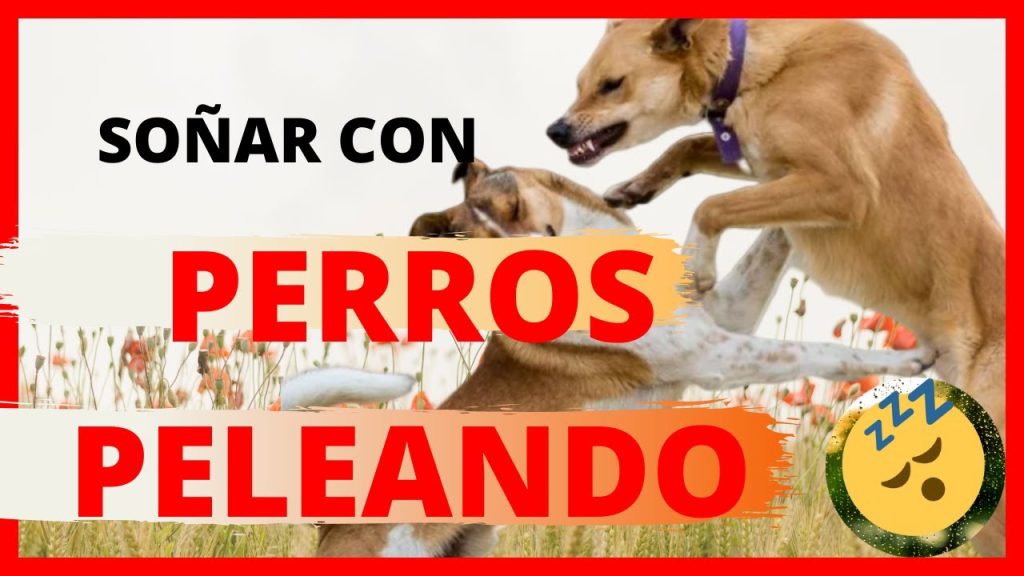 que significa sonar con perros peleando