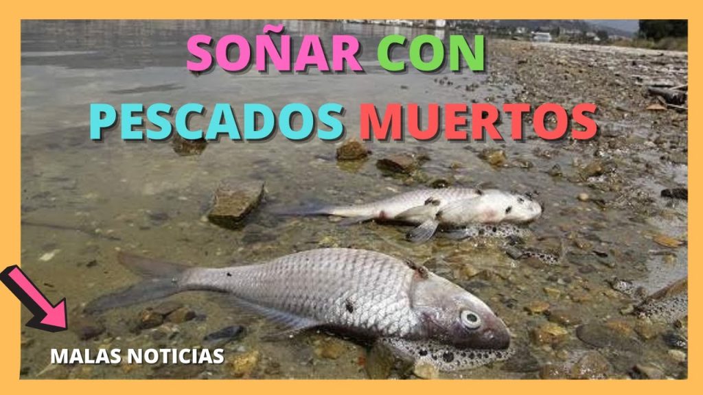 que significa sonar con pescados muertos segun la biblia